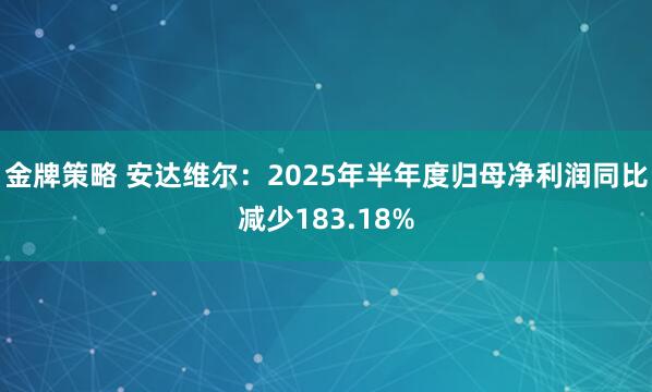 金牌策略 安达维尔：2025年半年度归母净利润同比减少183.18%